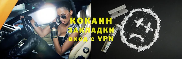 шишки Козловка