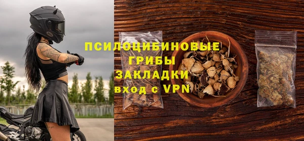 бошки Козельск