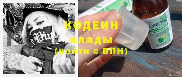 шишки Козловка