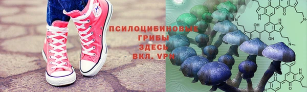 прущие крисы Коряжма